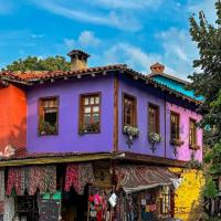 Bursa Çanakkale İznik Turu