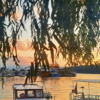 Günübirlik Sinop Turu