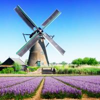 KAYSERİ ÇIKIŞLI BENELUX PARIS -  ALMANYA RÜYASI (KURBAN BAYRAMI)