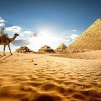 Air Cairo ile Ankara Çıkışlı Sharm El Sheikh 7 Gece 8 Gün