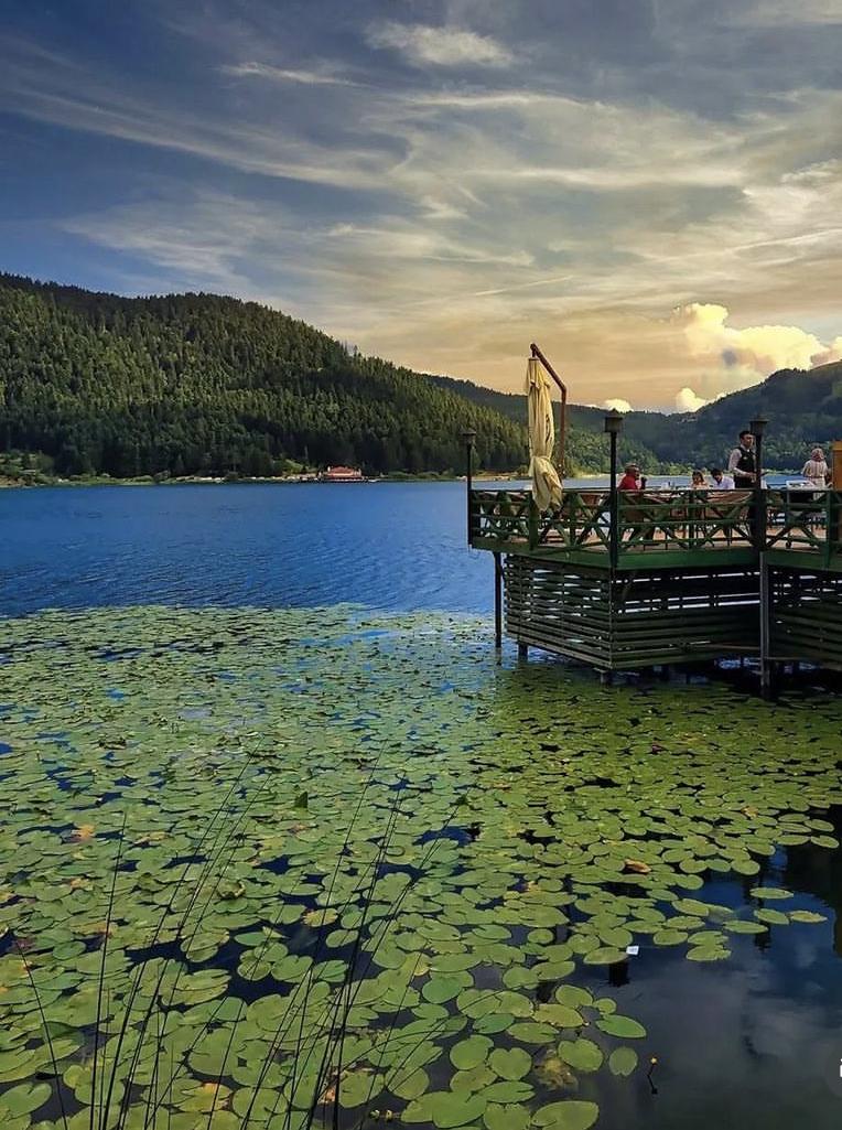 Günübirlik Abant & Yedigöller Turu - 2,038.00 TL