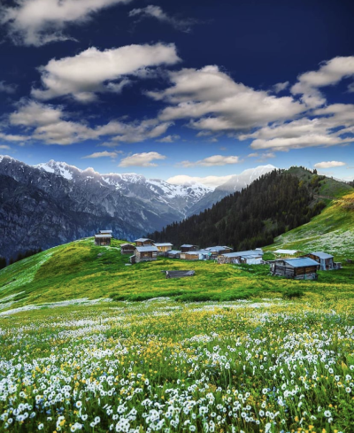 Doğu Karadeniz Esintisi Turu